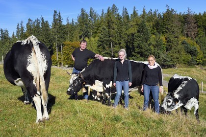 France, Haut-Rhin (68), Wasserbourg, Ferme-auberge Buchwald, le marcaire Michel Wehrey, sa femme Mireille et sa fille Julie avec leurs vaches de race vosgiennes