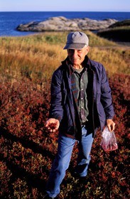 Canada, Quebec Province, Northern Coast, collector of red berries