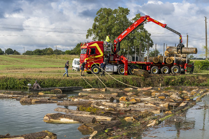 France, Deux-Sèvres (79), le Marais Poitevin, la Venise Verte, Magné, randonnée à bicyclette le long de la Sèvre Niortaise, flottage du bois