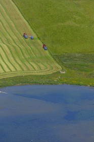 Royaume-Uni, Ecosse, Iles Orcades, Ile de Mainland, travaux agricoles au bord du Loch of Stenness, goélands se nourissent dans la terre retournée par le tracteur (vue aérienne)