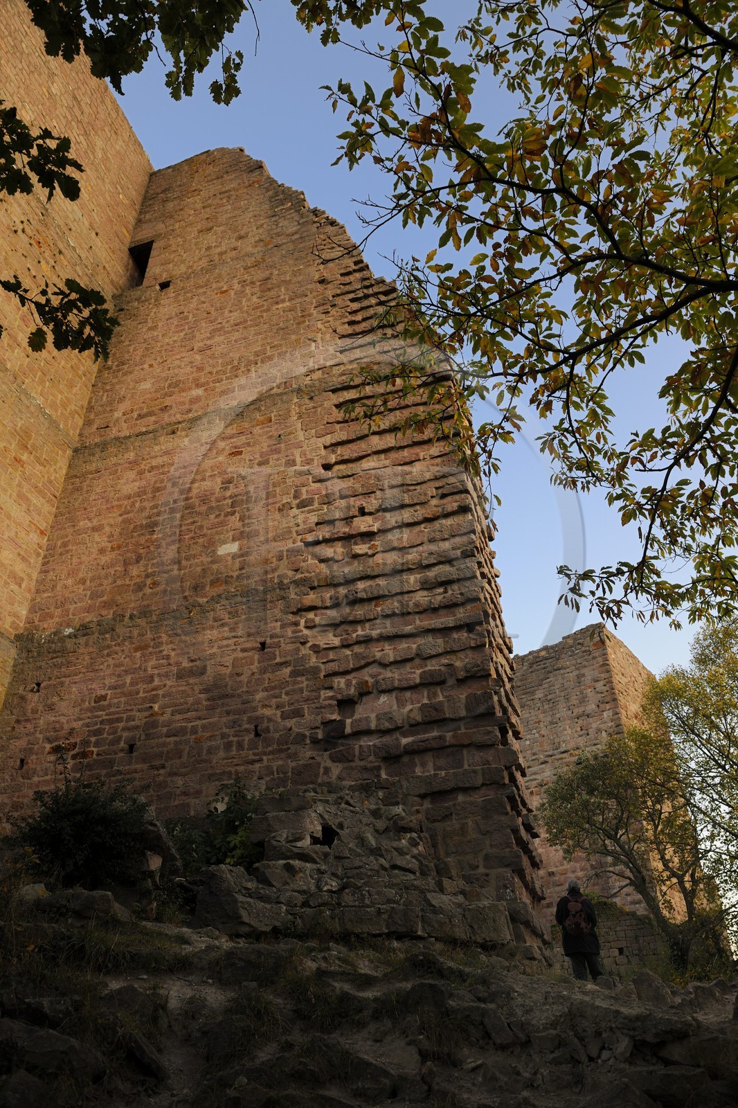 France, Haut-Rhin (68), les trois donjons d'Eguisheim dans le massif des Vosges
