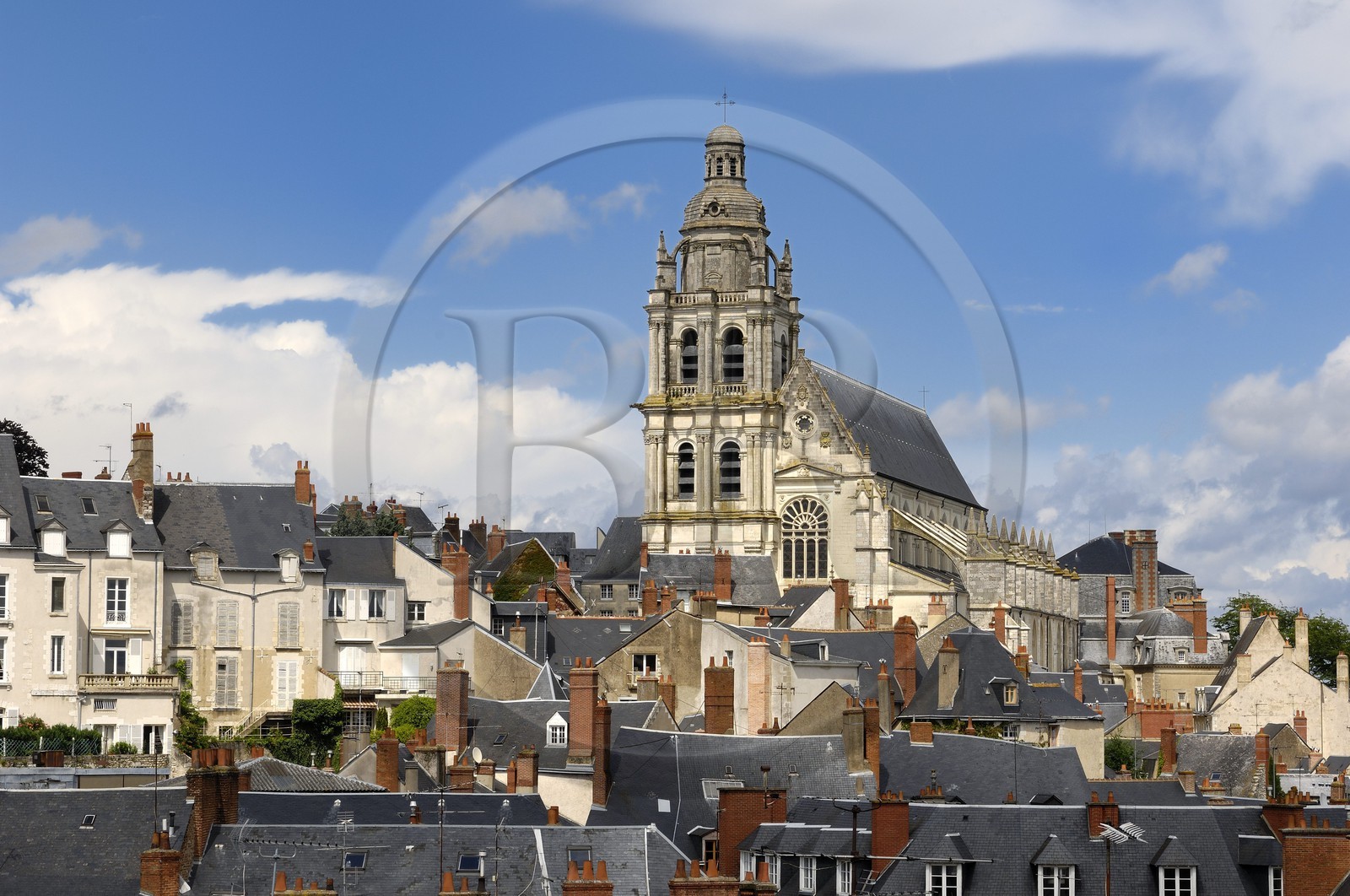 France, Loir et Cher (41), Blois, Cathédrale Saint-Louis