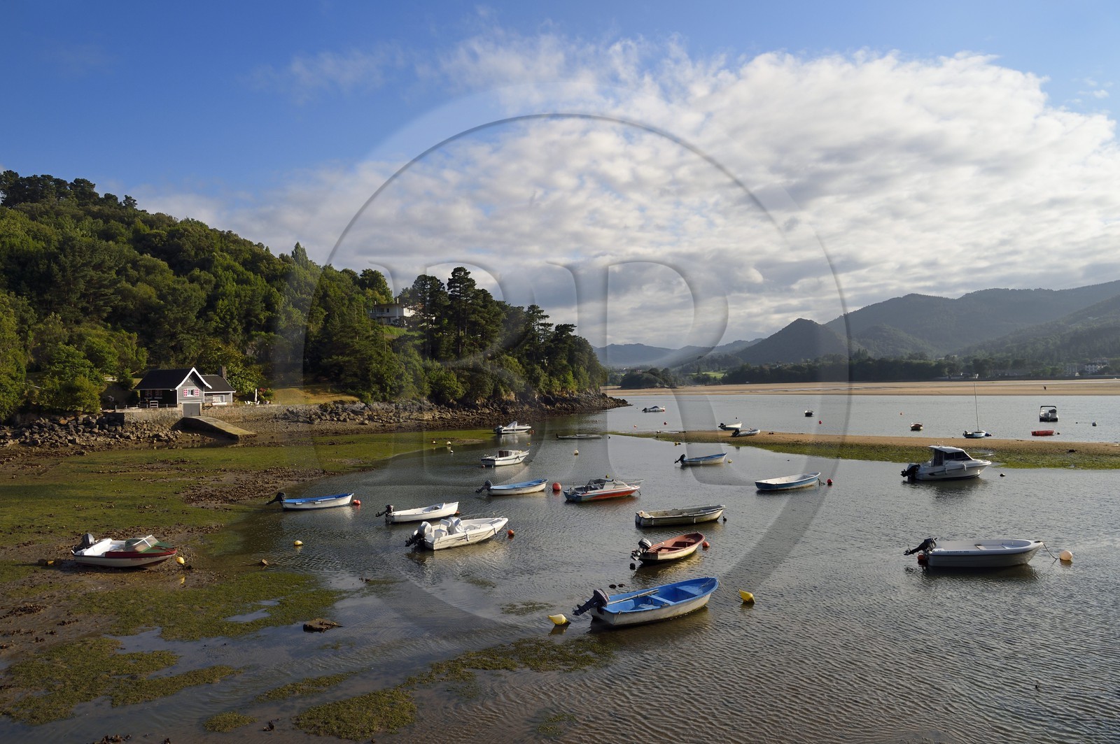 Spain, Basque Country, Biscay Province, Gernika-Lumo region, Urdaibai estuary Biosphere Reserve, estuary of the Oka River at low tide south of Mundaka, small anchorage of Laida