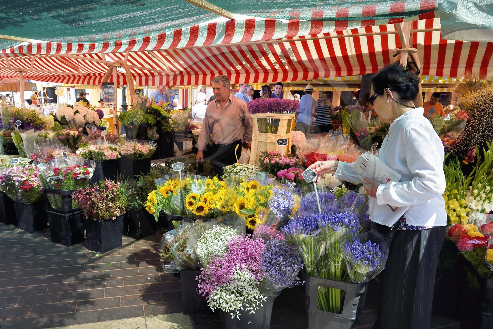 France, Alpes-Maritimes, Nice, old town, cours Saleya market, flower market