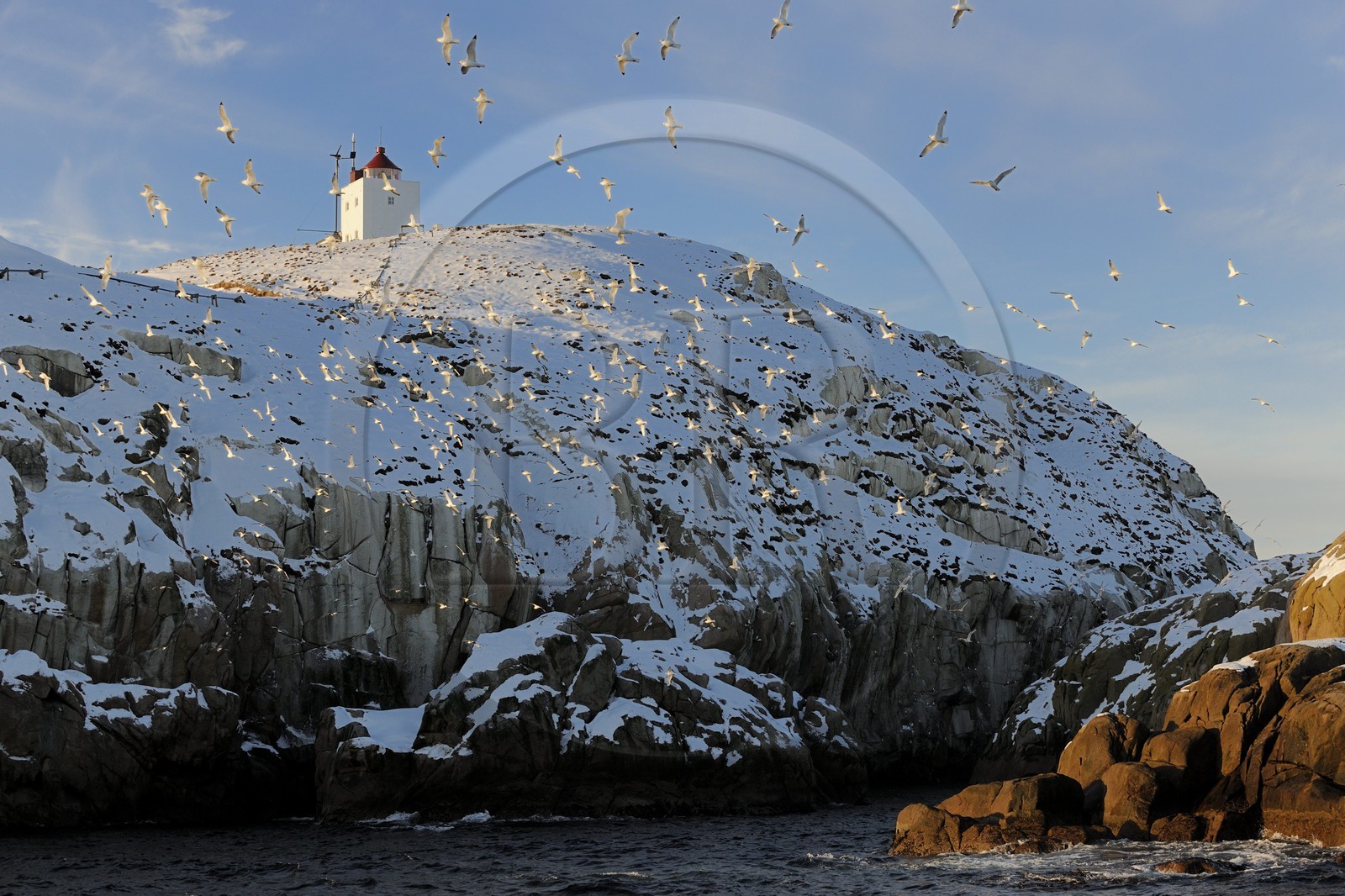 Norway, Nordland County, Vesteralen Islands, Myre area, lighthouse in the Birds Island off Sto