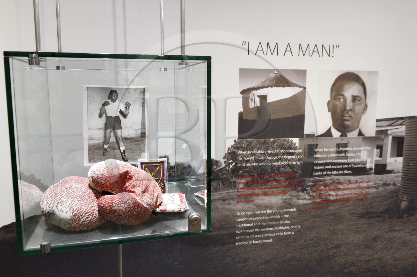 Afrique du Sud, province de Gauteng, Johannesburg, Musée de l'apartheid, exposition sur Nelson Mandela, ses gants de boxe