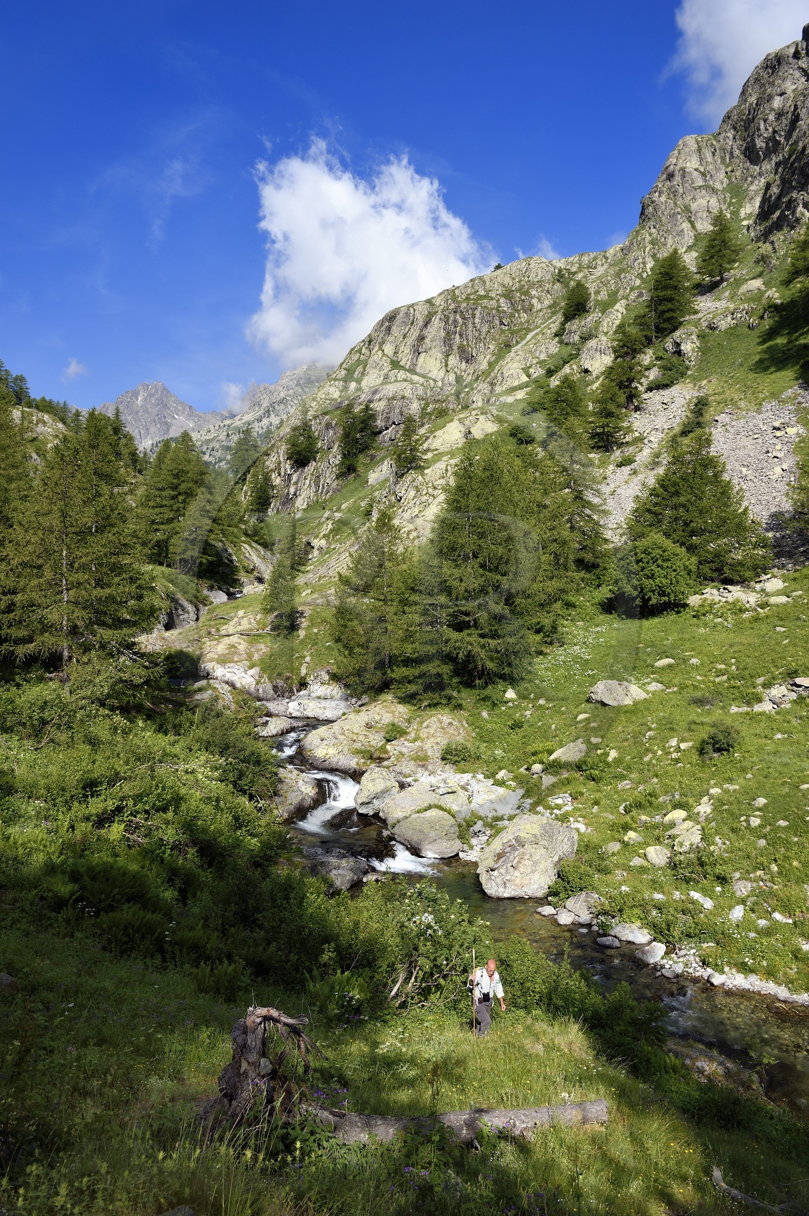 France, Alpes-Maritimes (06), parc national du Mercantour, vallée de la rivière Valmasque et sommets de la haute Valmasque, Alain Lanteri-Minet, guide et ancien garde-moniteur du parc