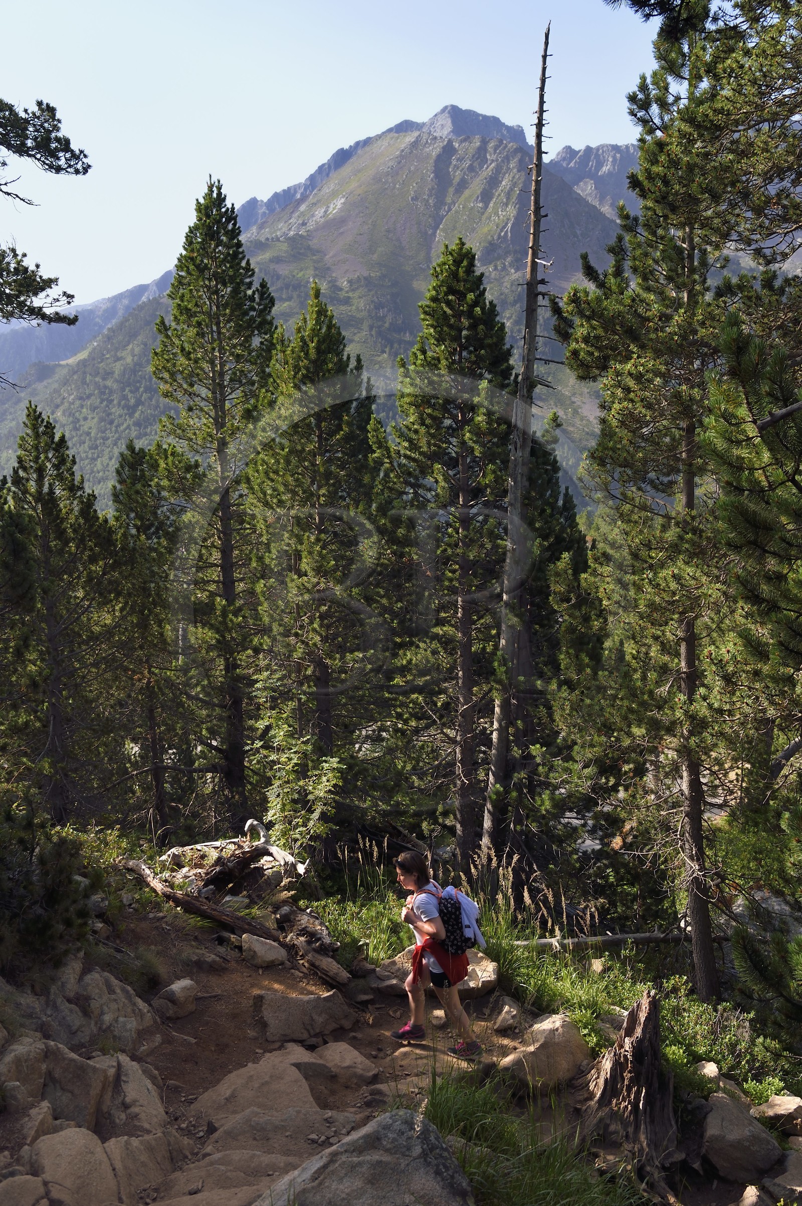 France, Hautes-Pyrénées (65), Saint-Lary-Soulan et Aragnouet, Réserve naturelle nationale du Néouvielle, randonnée des lacs du Neouvielle, randonneurs montant aux lacs des Laquettes