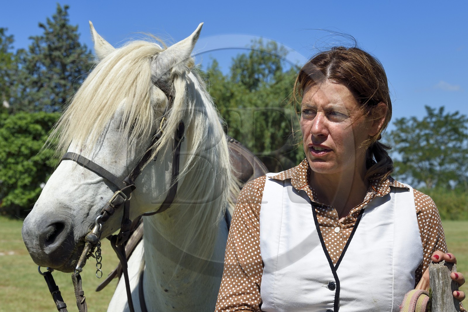 France, Bouches-du-Rhône (13), Parc naturel régional de Camargue, La Régie de Frigoulès, Florence Clauzel manadière au Mas des Grandes Manades du Vaccarès, manade Saint Antoine, éleveuse de chevaux et taureaux de Camargue