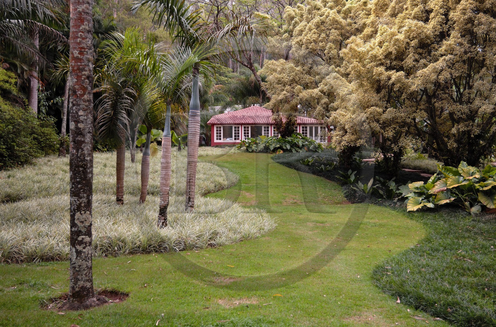 Brasil, Minas Gerais state, Brumadinho, Centro de arte contemporanea Inhotim (contemporary artwork center)