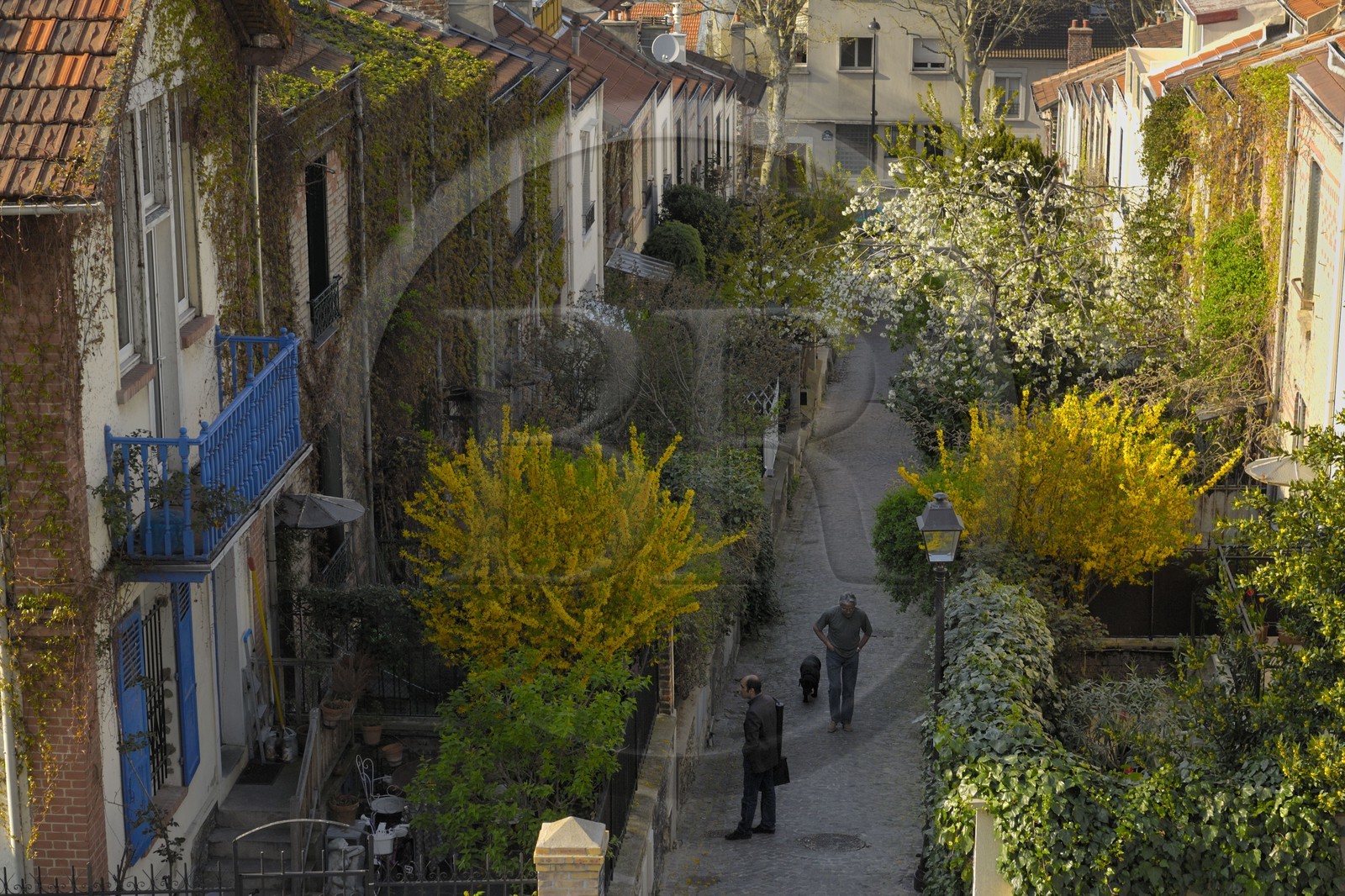 France, Paris (75), La campagne à Paris du quartier Mouzaïa, maisons avec jardins au cœur de la ville
