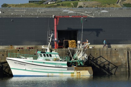 France, Manche (50), Granville, le Bassin à Flot du port de pêche