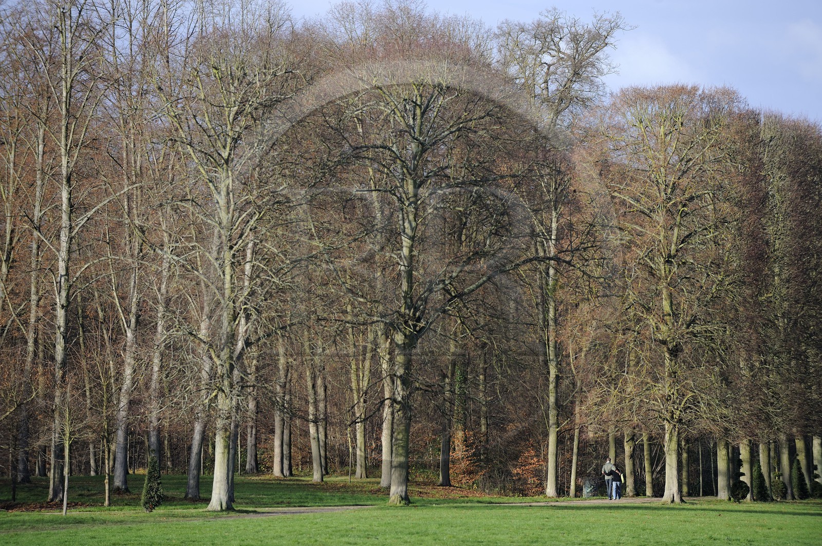 France, Yvelines (78), parc du château de Versailles, classé Patrimoine Mondial de l'UNESCO