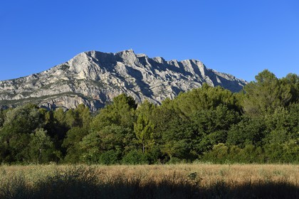 France, Bouches-du-Rhône (13), Pays d'Aix en Provence, vers le Tholonet, la Montagne Sainte Victoire, route Cézanne