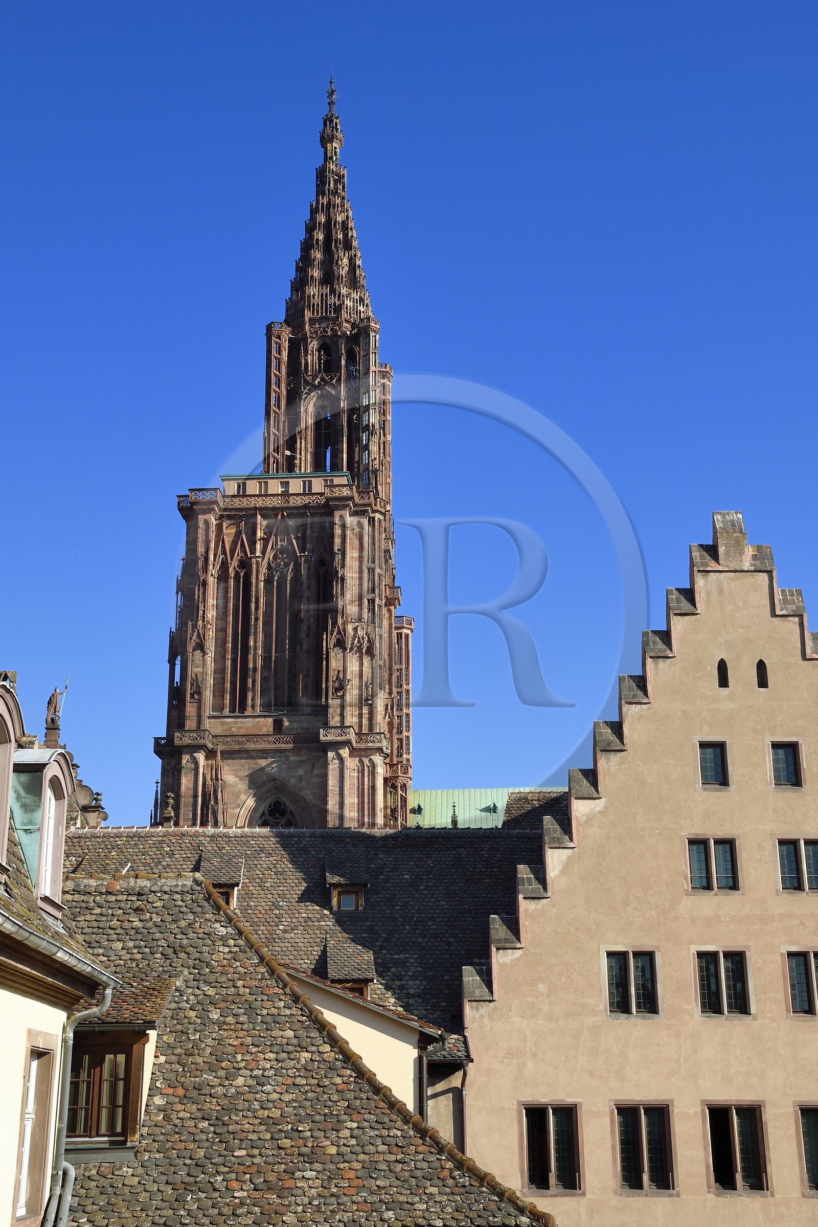 France, Bas-Rhin (67), Strasbourg, vieille ville classée au Patrimoine Mondial de l'UNESCO, la cathédrale Notre-Dame derrière les batiments de la Fondation de l'Oeuvre Notre-Dame avec un pignon à gradins