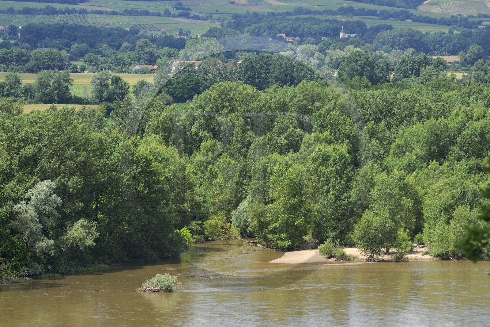 France, Nièvre (58), la Loire vers Pouilly-sur-Loire