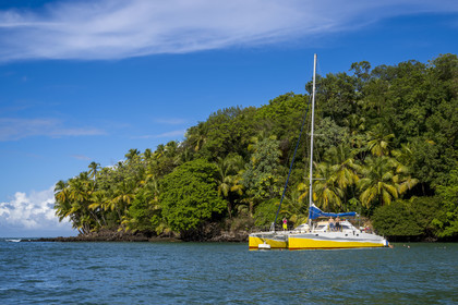 France, Guyane, Kourou, Iles du Salut, l'Ile Saint-Joseph, touristes passant la journée sur un catamaran