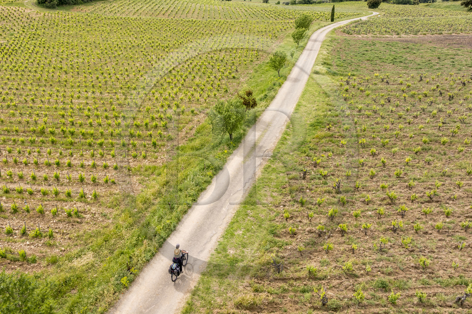 France, Vaucluse (84), Châteauneuf-du-Pape, randonnée à vélo sur le chemin Coste Froide sur le plateau de la Crau (vue aérienne)