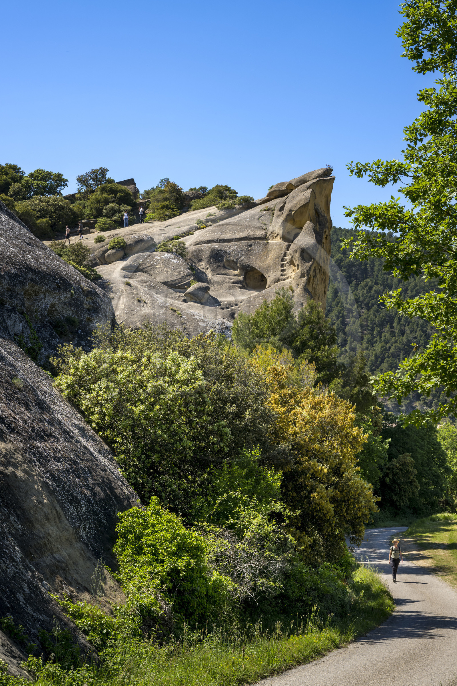 France, Vaucluse (84), Dentelles de Montmirail, Beaumes-de-Venise, le Rocher Rocalinaud, curiosité géologique en grès et habitat troglodytique du néolithique au moyen-âge