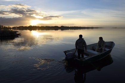 France, Haute Corse, the pond of Biguglia (Stagnu di Chiurlinu) at dawn, nature reserve of Corsica (RNC), Paul-Marie Ghipponi guard of the natural reserve of Corsica (RNC) patrolling the pond