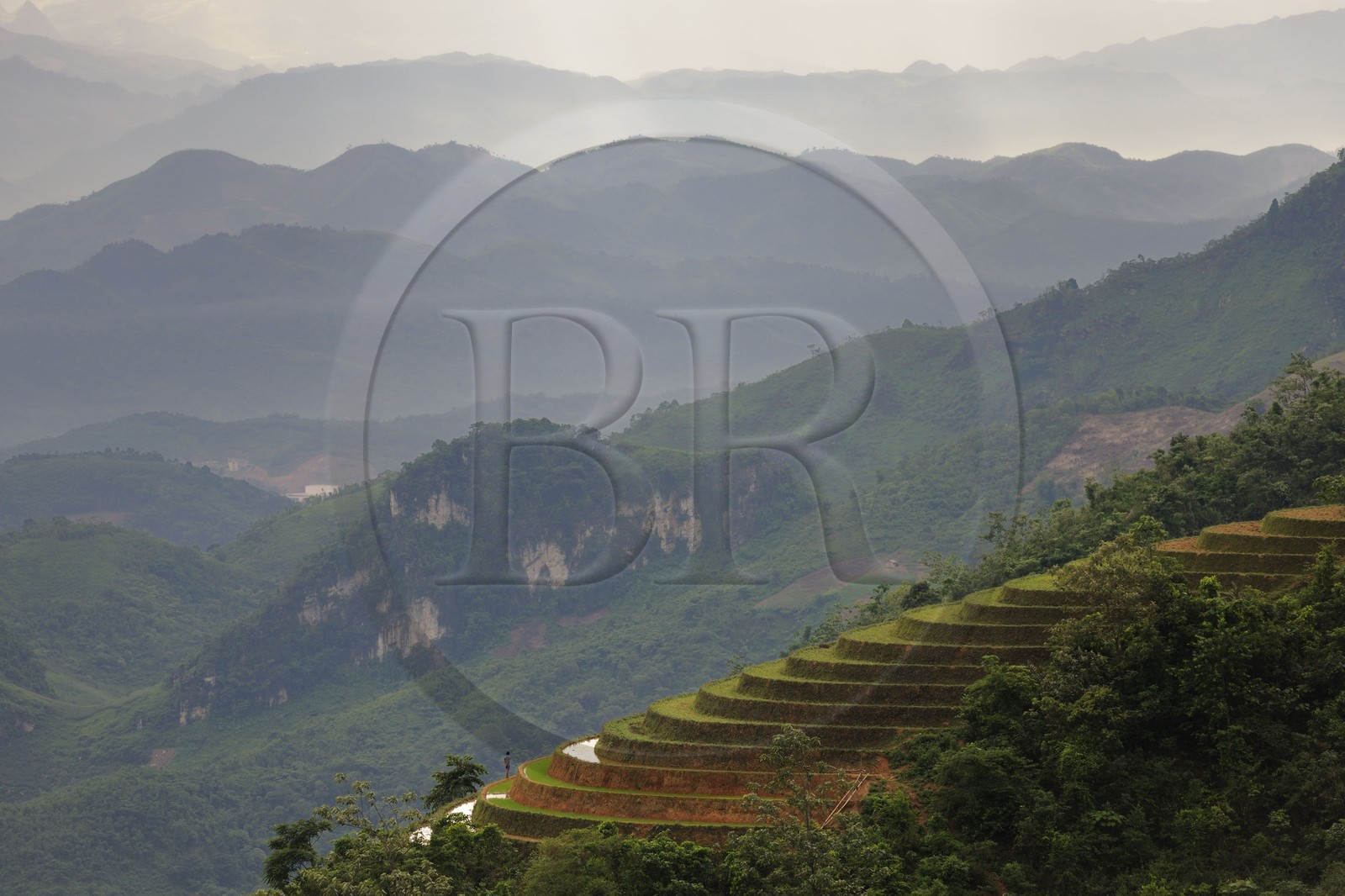 Vietnam, province de Lao Cai, région de Sapa, rizières en terrasses