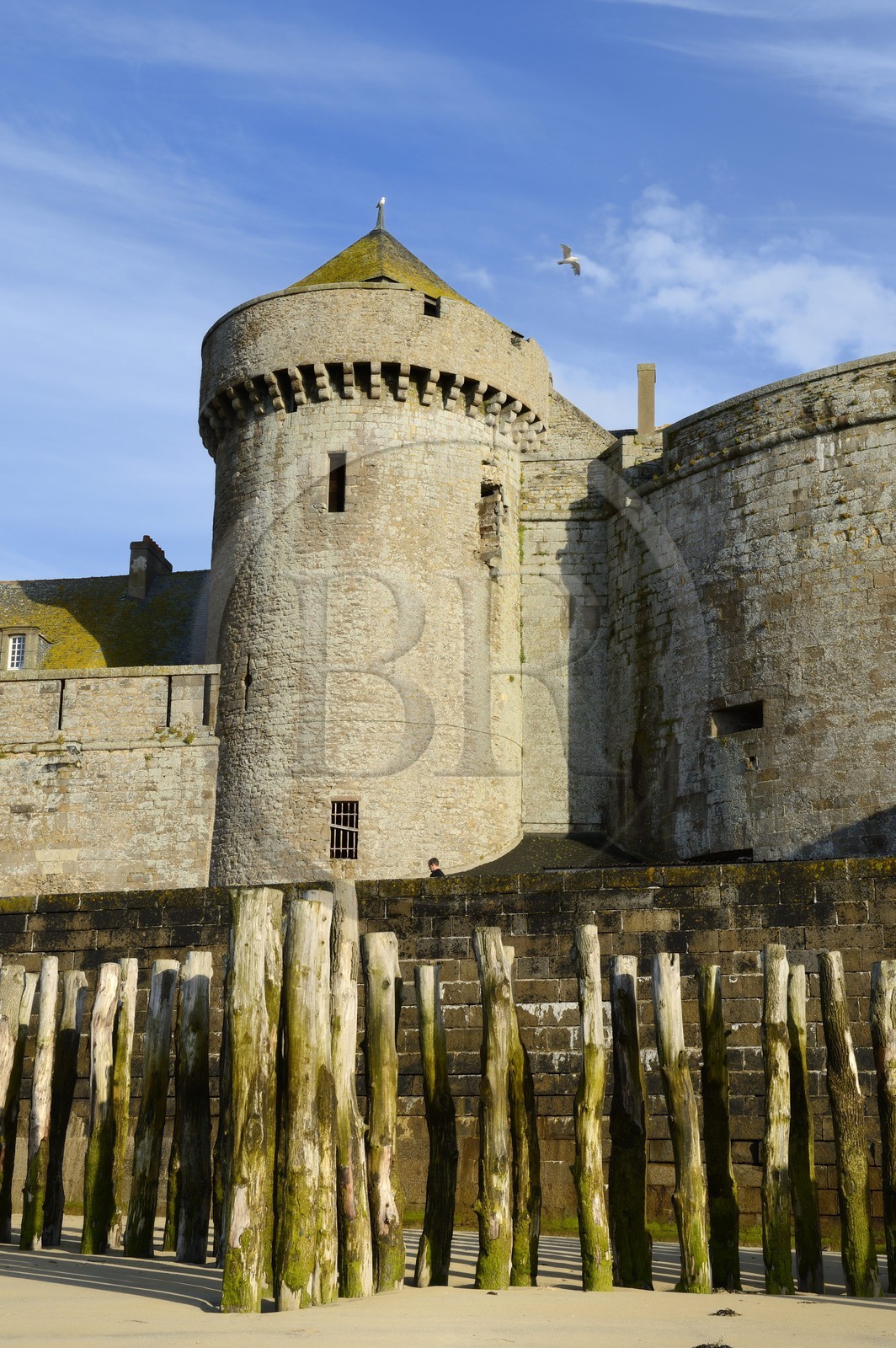 France, Ille-et-Vilaine, cote d'emeraude (Emerald Coast), Saint Malo, oak posts of the beach to protect the walls of the assault waves