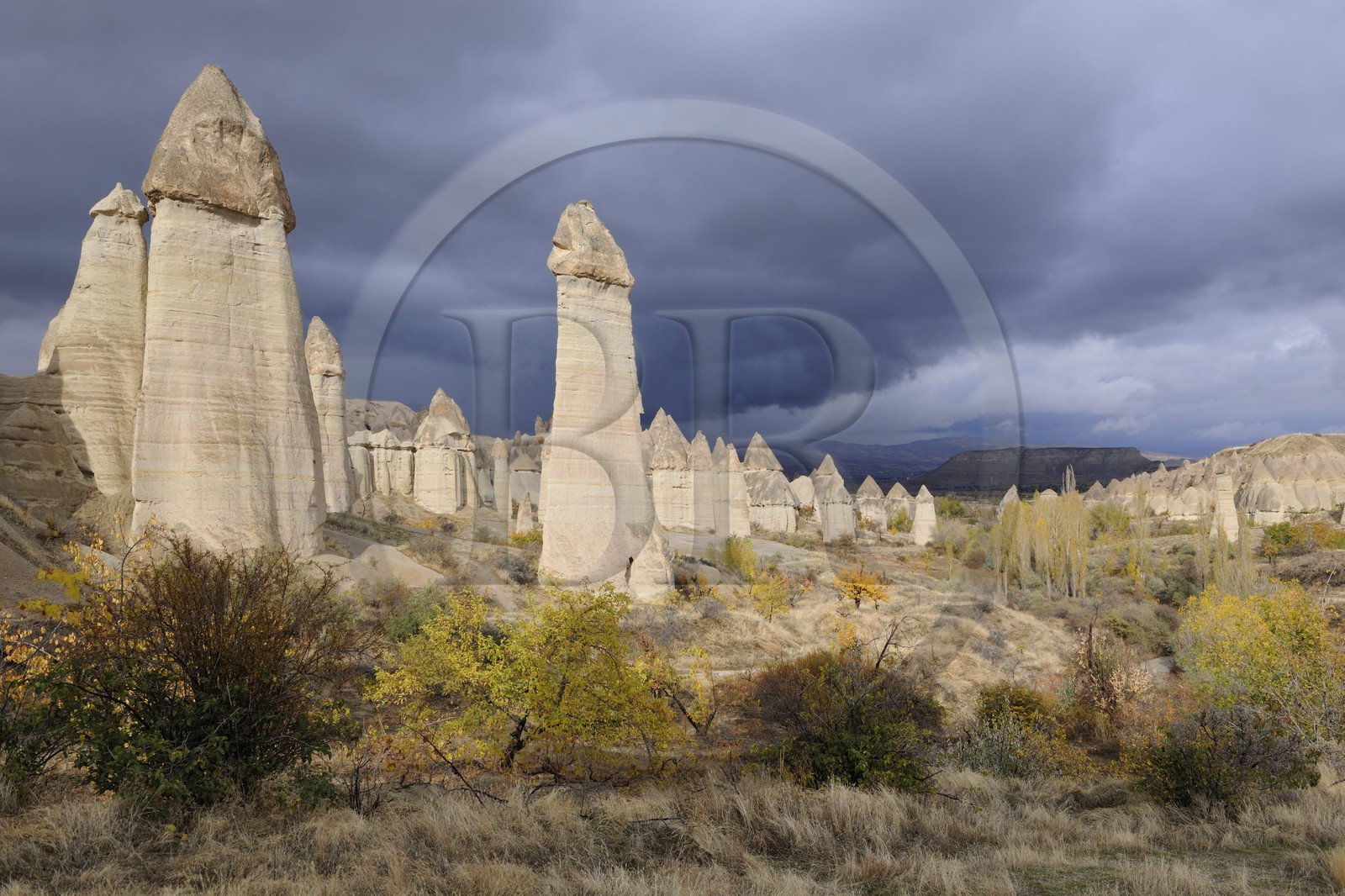 Turquie, Anatolie Centrale, province de Nevsehir, Cappadoce classée Patrimoine Mondial de l'UNESCO, environs d'Uçhisar, vallée de l'Amour, paysage d'érosion et cheminées de fées