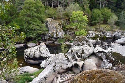 France, Lozere (48), Parc naturel régional de l'Aubrac (Aubrac Regional Nature Park), Saint Juery, the gorges of Bes river