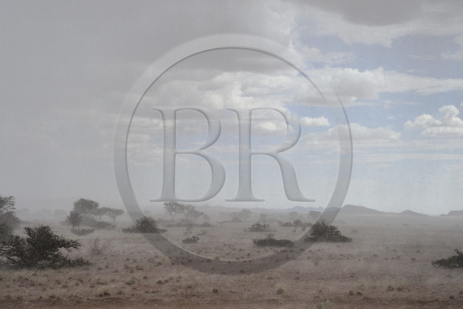 Namibie, région de Khomas, désert du Namib à l'Est du parc national Namib Naukluft sous une pluie d'orage