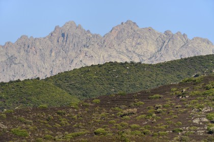 France, Haute-Corse (2B), région du Niolu (Niolo), le Monte Cinto