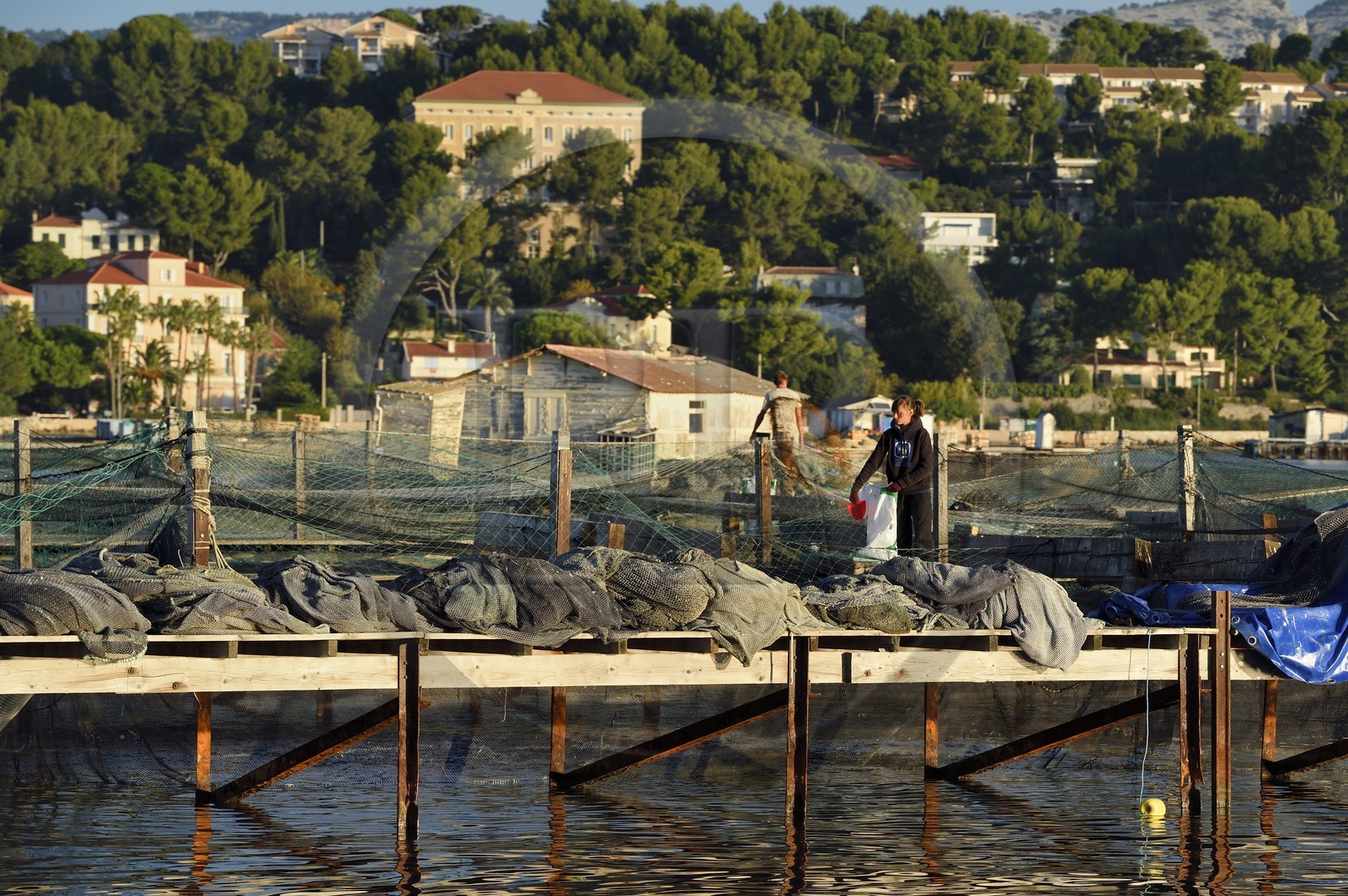 France, Var, the Rade (Roadstead) of Toulon, La Seyne-sur-Mer, mussels and oysters Park, aquaculture farm