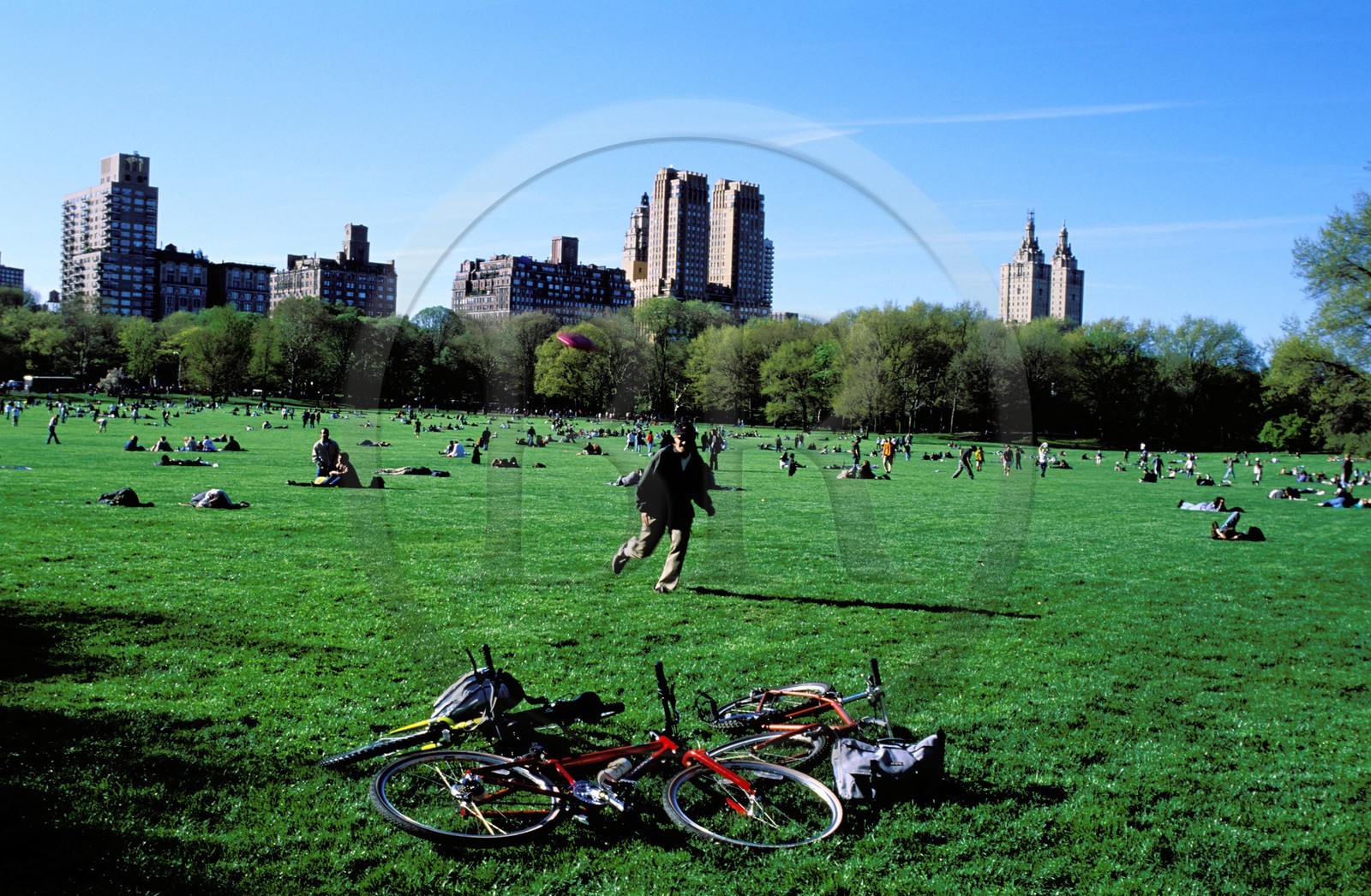 Etats-Unis, New York, Central park, farniente et sport le dimanche sur la pelouse The Sheep Meadow