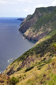 Portugal, Madeira Island, hike from Machico to Porto da Cruz by the Vereda do Larano, the cliff of Larano