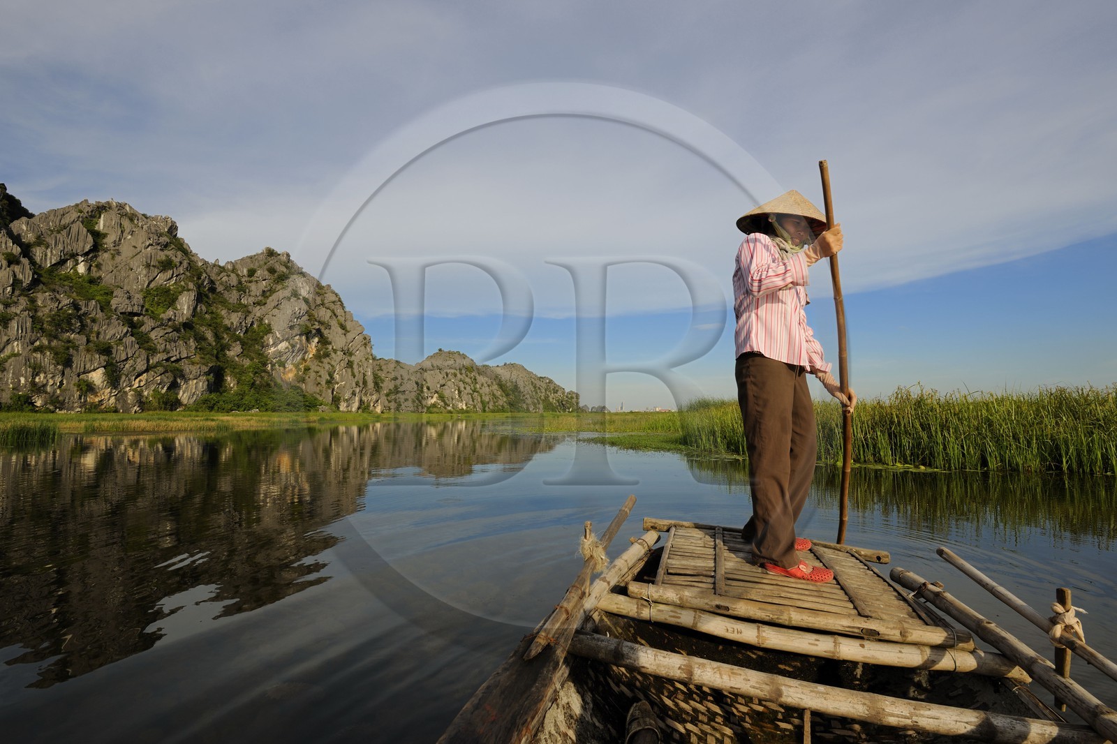 Vietnam, province de Ninh Binh, région surnommée la baie d'Halong terrestre, réserve naturelle de Van Long et ses paysages karstiques