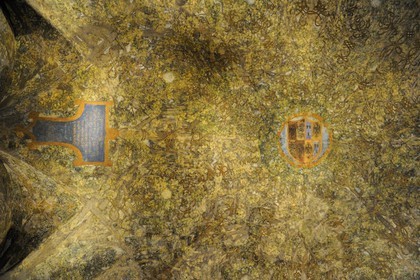 Italy, Lombardy, Milan, Castello Sforzesco (Sforza Castle), Leonardo da Vinci painted the tangle of tree trunks from the ceiling of the Sala delle Asse (1496-1497)