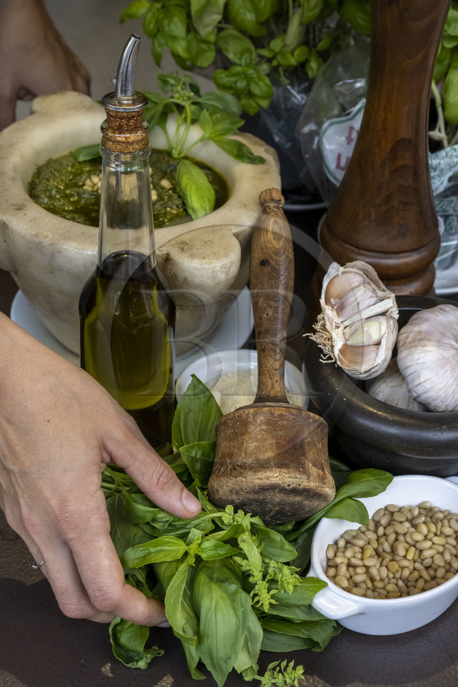 France, Alpes-Maritimes (06), Nice, restaurant Lou Balico spécialisé dans le basilic, Sara Issautier présente la préparation du pesto traditionnel (basilic, ail, pignons, huile et parmesan)
