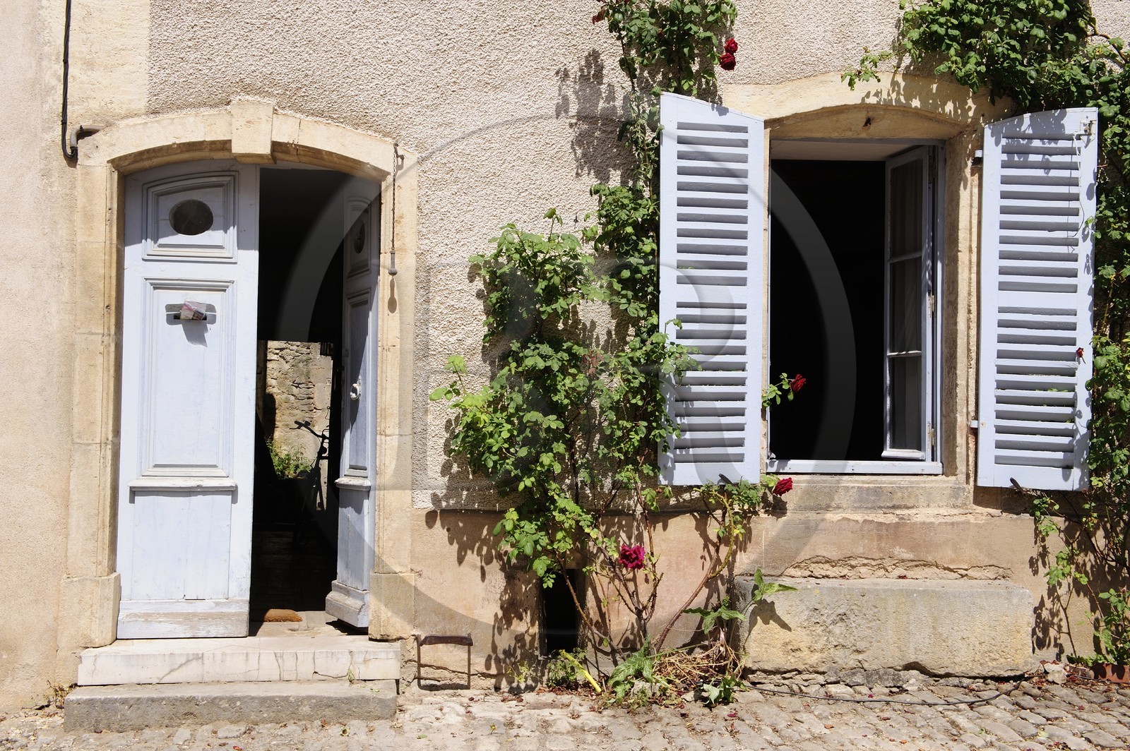 France, Côte d'Or (21), Flavigny-sur-Ozerain, maison dans Grande Rue