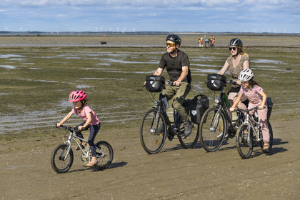 France, Vendée (85), île de Noirmoutier, Barbatre, famille de cyclistes sur l'estran en bordure du passage du Gois, chaussée submersible qui relie l'île au continent à marrée basse