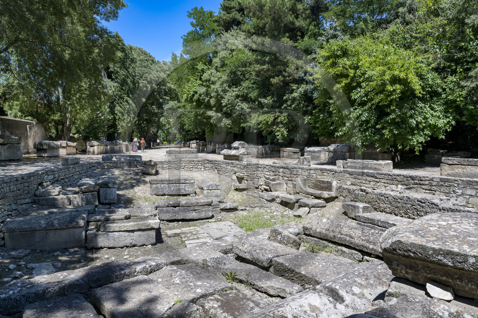 France, Bouches-du-Rhône (13), Arles, les Alyscamps, site classé Patrimoine Mondial de l'UNESCO, nécropole païenne puis chrétienne de l'époque romaine au Moyen Age, comprenant de très nombreux sarcophages