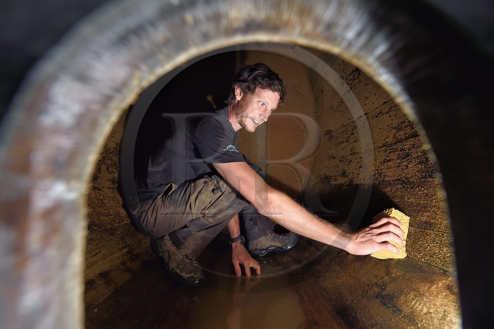 France, Haut-Rhin (68), Route des vins d'Alsace, Bergheim, Domaine viticole Marcel Deiss, le viticulteur Mathieu Deiss nettoyant l'intérieur d'un grand tonneau aussi appelé foudre