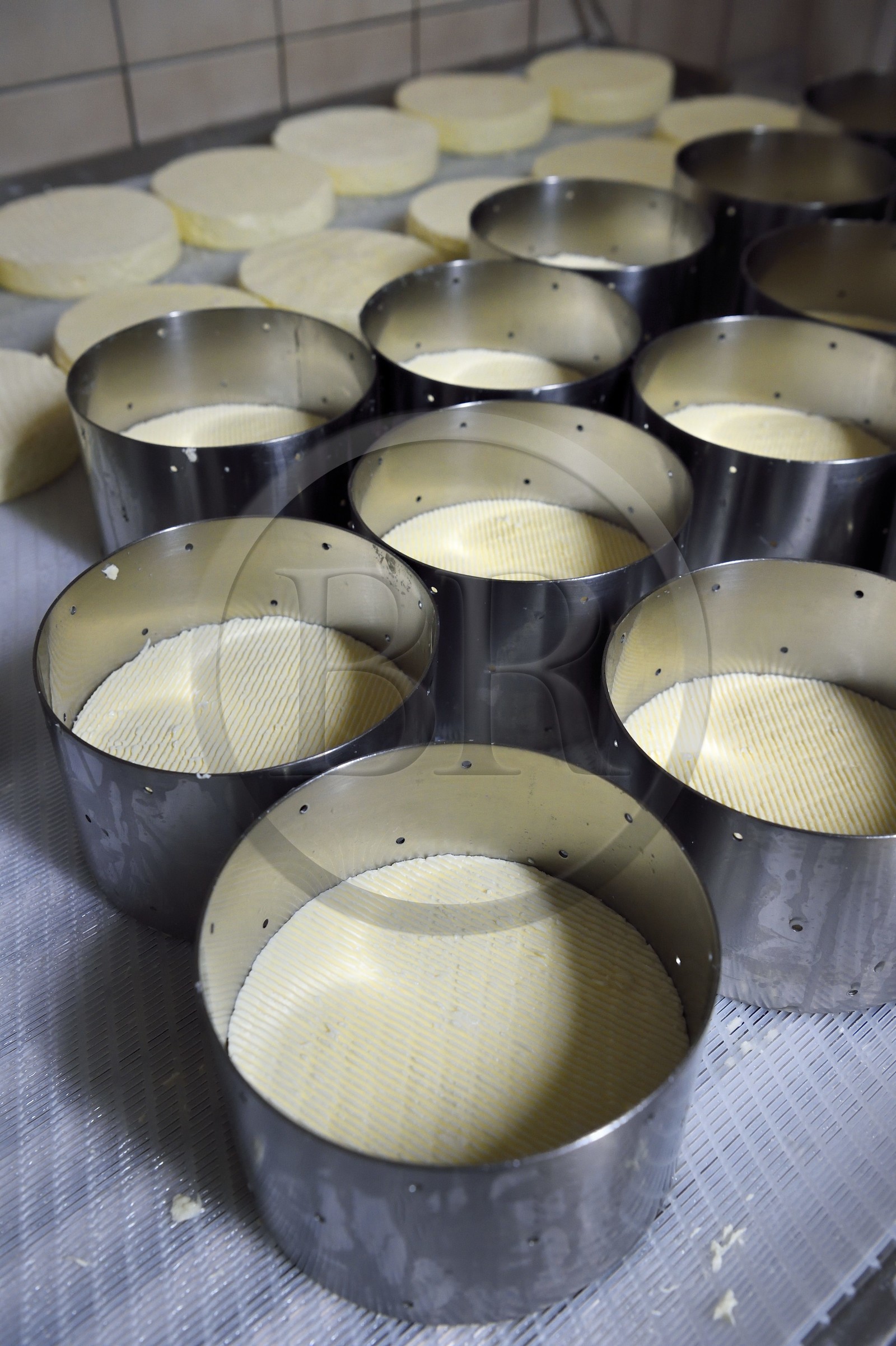 France, Haut-Rhin (68), Kruth, ferme auberge marcaire du Schafert, fabrication du munster AOP