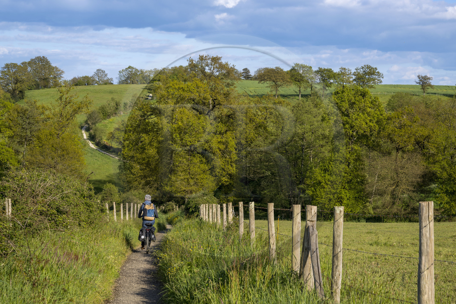 France, Vendée (85), Tiffauges, sur la piste de la véloroute Vendée Vélo Tour