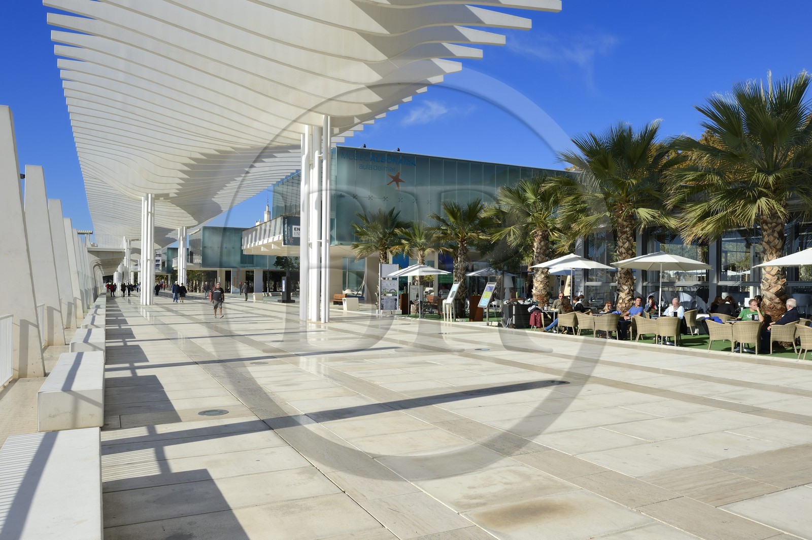 Espagne, Andalousie, Malaga, le front de mer sur le port, Palmeral de las Sorpresas