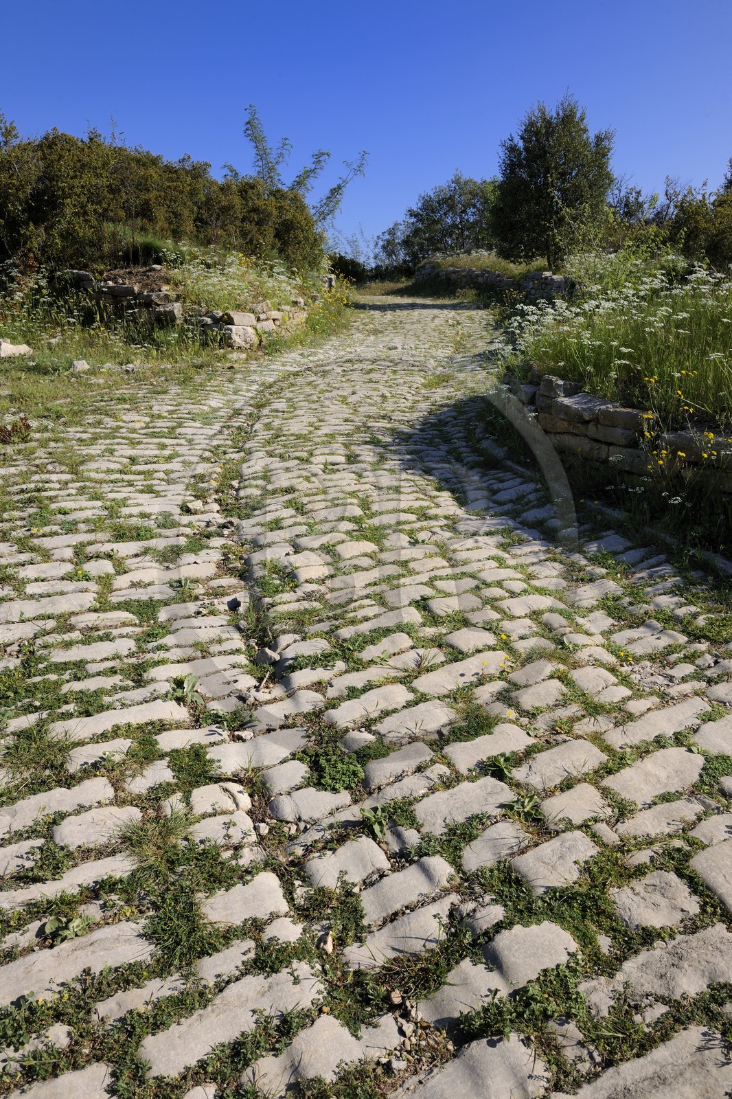France, Hérault (34), près de Lunel, Oppidum d'Ambrussum ancien oppidum gaulois situé sur la Voie Domitienne (Via Domitia), rue pavée usées par le passage des chariots
