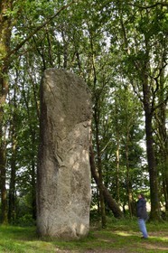 France, Morbihan (56), Moustoir-Ac, Menhir de Kermarquer-la-Lande