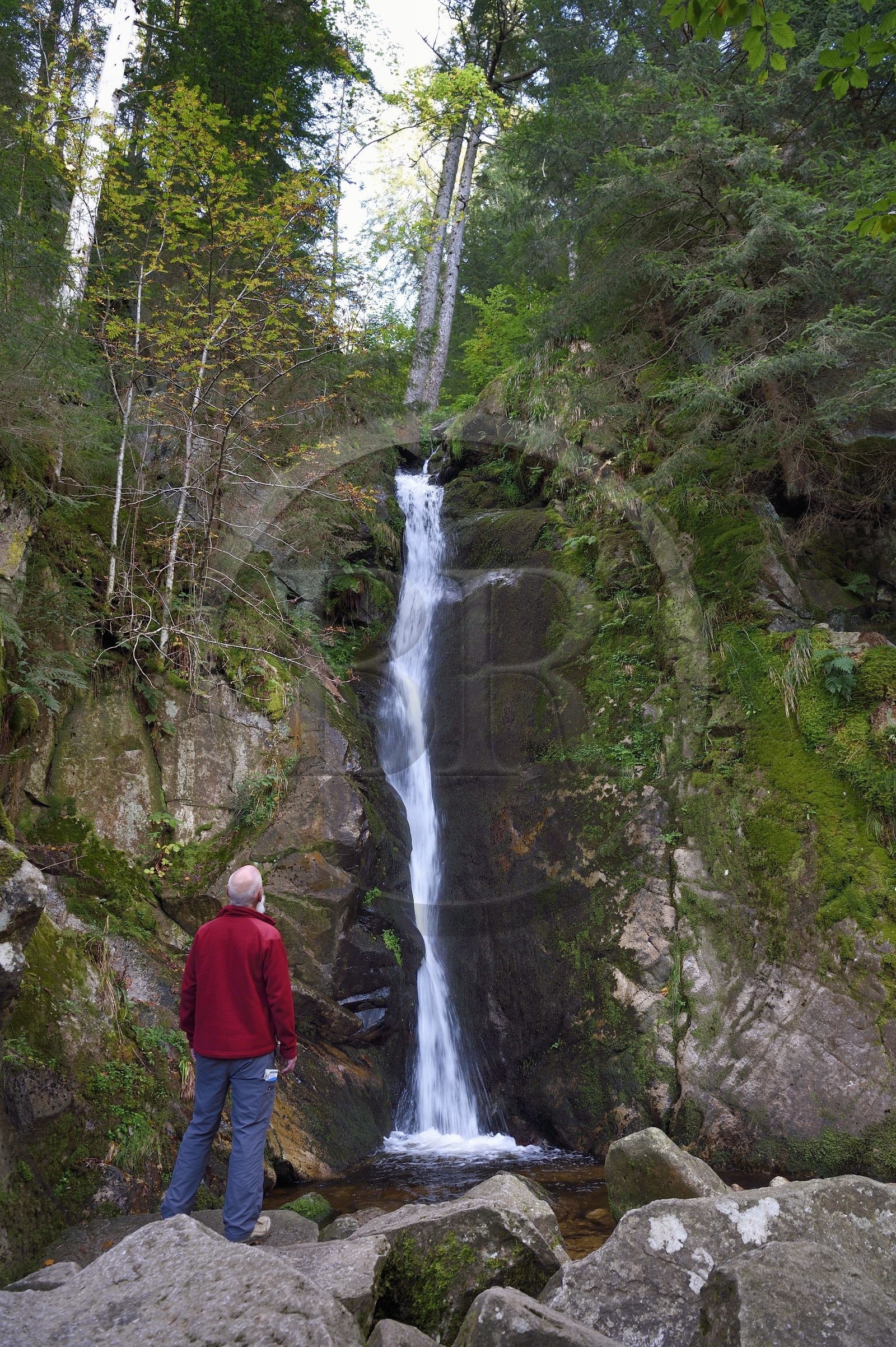 France, Vosges (88), Le Valtin, randonnée dans la vallée du Valtin dans la haute-vallée de la Meurthe, cascade du Rudlin