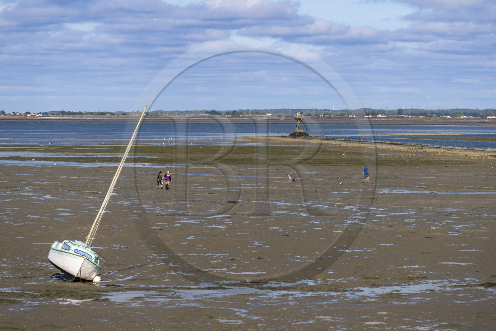 France, Vendée (85), île de Noirmoutier, Barbatre, pêche à pied sur l'estran en bordure du passage du Gois, chaussée submersible qui relie l'île au continent à marrée basse
