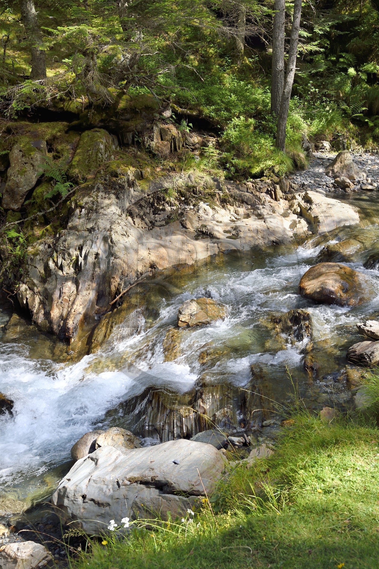 France, Hautes-Pyrénées (65), Saint-Lary-Soulan, vallée du Rioumajou, la (rivière) Neste de Rioumajou
