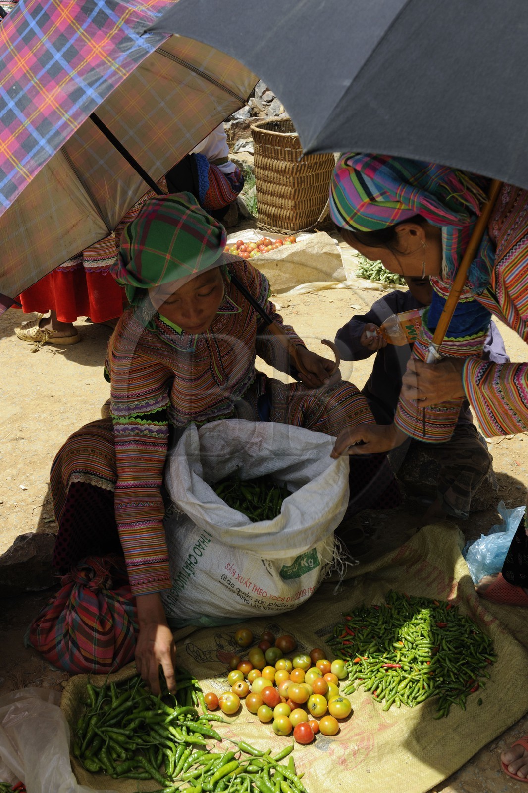 Vietnam, province de Lao Cai, région de Bac Ha, marché de Can Cau, femmes de la minorité Hmong Fleur