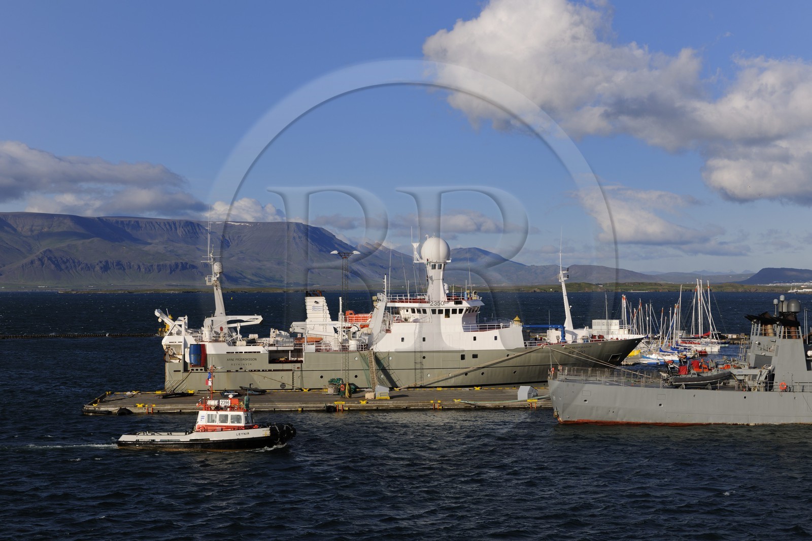 Iceland, Reykjavik harbor